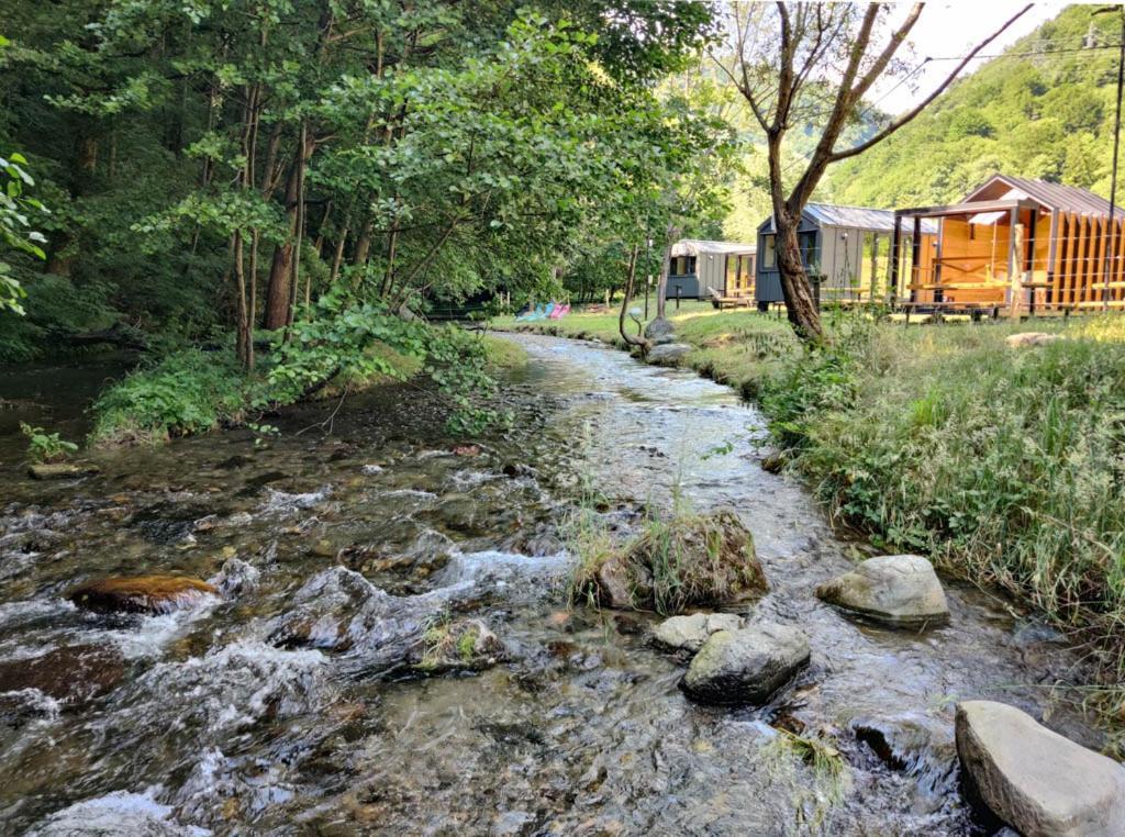 Transfagarasan River Retreat Arefu Exterior photo